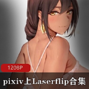 Pixiv网红Laserflip和MetalOwl的口味重味汉化合集：挑战自我，收获成长