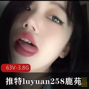 luyuan258鹿苑：高颜值网红妹子，63V，3.8G作品资源